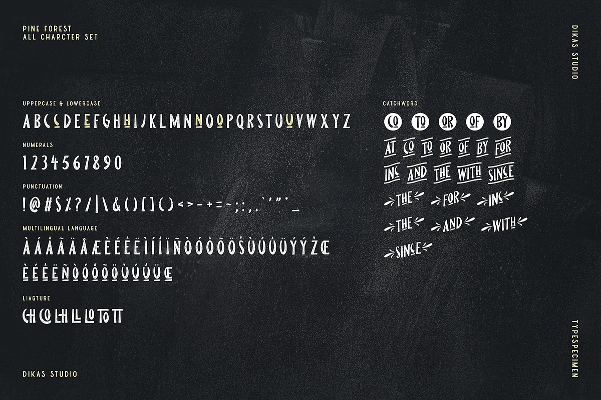 Pine Forest - Outdoor Typeface preview 5