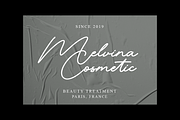 Brilian Signature Monoline Font, a Script Font by Ronny Studio (Thumbnail 7 of 9)