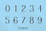 Bonheur Serif, a Serif Font by EW Type Foundry (Thumbnail 5 of 10)