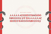 Snake Coil - Modern Chinese New Year, a Serif Font by overlaytemplates (Thumbnail 5 of 5)