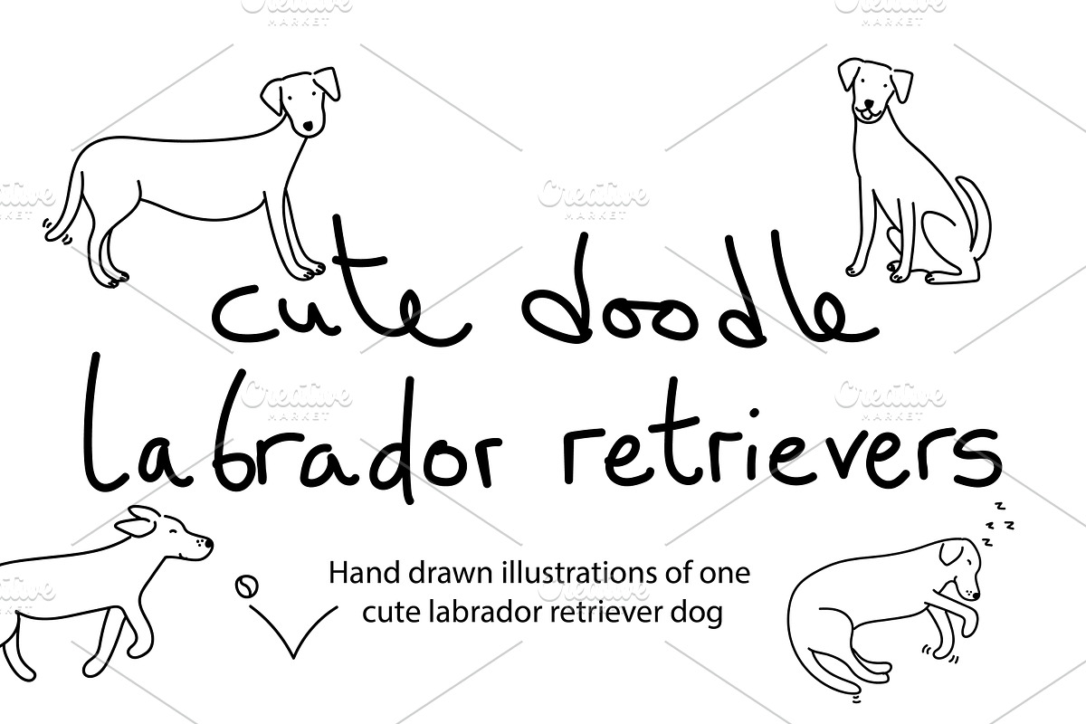 Cute Doodle Labrador Retrievers, an Illustration by Liz Pengilley Studio (Photo 1 of 4)