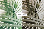 Cariba Vera Lightroom Preset Pack, a Preset Add-On by SHOOM HOUSE (Thumbnail 9 of 9)