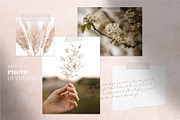 Cherry Blossom graphic set, an Illustration by EkaterinaKiriy (Thumbnail 8 of 13)