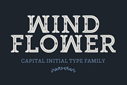 Pack - 4 Premium Fonts, a Font by kadusupanik (Thumbnail 3 of 5)