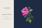 Flora Rose, Watercolor Floral Roses, a Pattern Graphic by Marchel Studio (Thumbnail 2 of 3)
