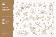 Cherry Blossom graphic set, an Illustration by EkaterinaKiriy (Thumbnail 2 of 13)
