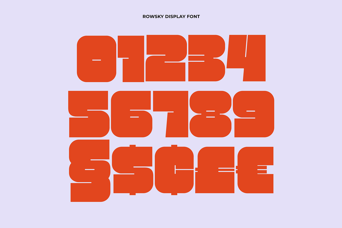 Rowsky - Bold Font, a Sans Serif Font by limitype (Photo 6 of 10)