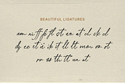 Befallite - Handwritten Script, a Script Font by Bale Type (Thumbnail 10 of 10)
