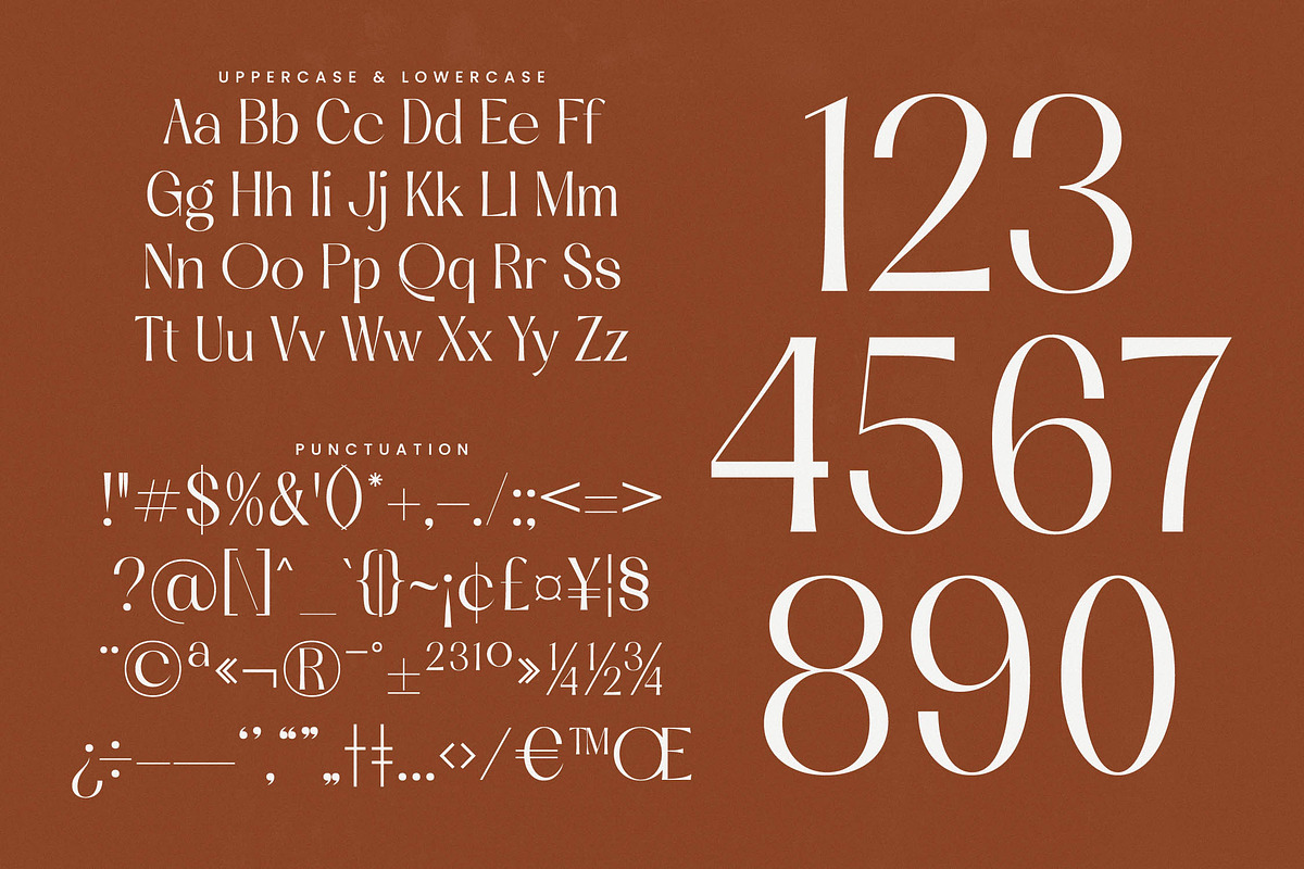 Qasntel Elegant Serif Display, a Serif Font by timelesstype.co (Photo 19 of 20)