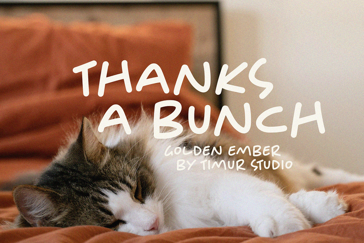 Golden Ember Font, a Handwritten Font by Timurtype (Photo 7 of 7)