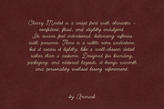 Cherry Merlot Vintage Ink Script, a Script Font by AnMark (Thumbnail 14 of 16)