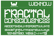 FRACTAL CONSCIOUSNESS font, a Slab Serif Font by weknow (Thumbnail 1 of 8)