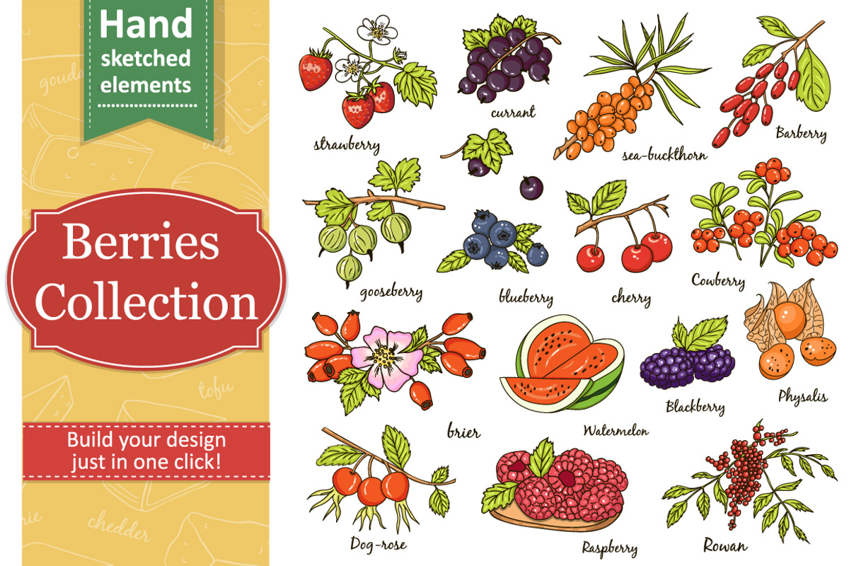Collection of berries with pattern, an Object Graphic by Tatti Graphic Studio (Photo 1 of 3)