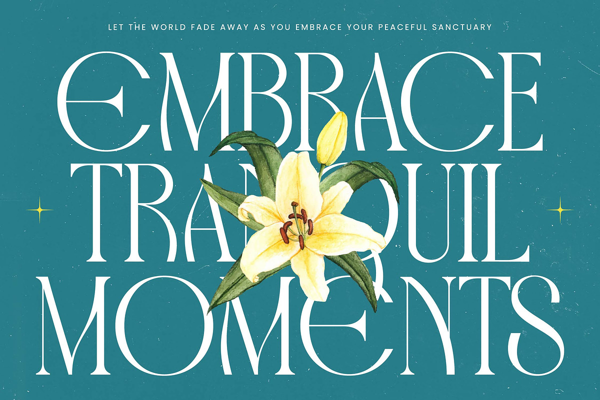 Havens Brooke Editorial Serif, a Serif Font by timelesstype.co (Photo 6 of 20)