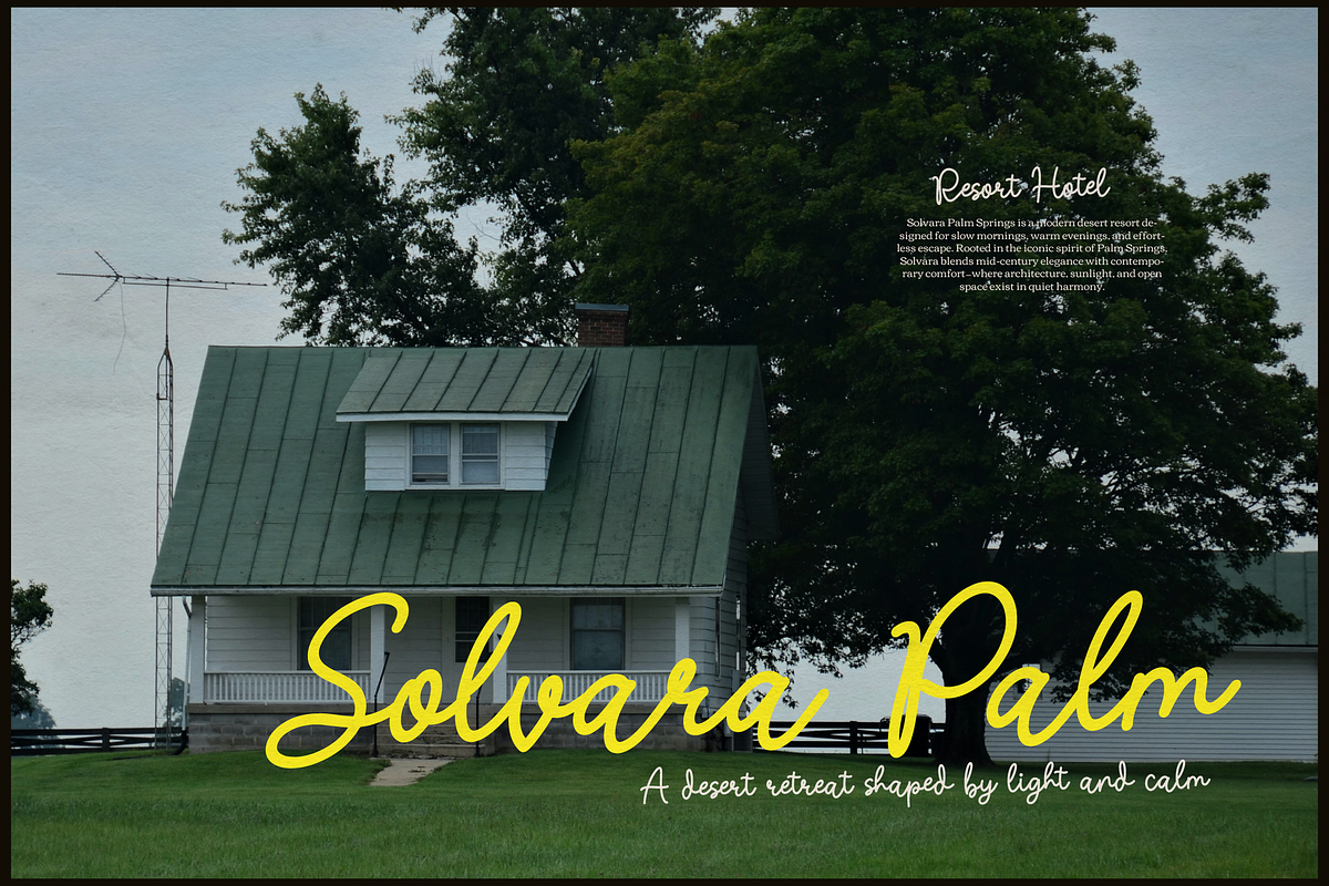 Nicolla Sunfield | Monoline Script, a Script Font by gracetype_studio (Photo 4 of 12)
