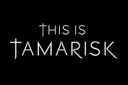 Tamarisk. Stunning serif/sans font, a Sans Serif Font by LostandFoundry (Thumbnail 1 of 6)