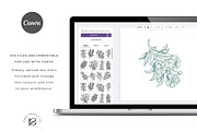 Australian Aromatic Botanicals Set, a Decorative Illustration by rouxsupplyco (Thumbnail 7 of 8)
