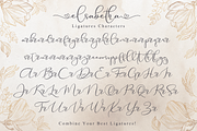 Elsabetha  Elegant Script Font, a Script Font by Aldedesign (Thumbnail 6 of 7)