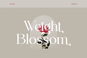 Capella - Stylish Ligature Font, a Serif Font by Aqeel_Art (Thumbnail 3 of 9)