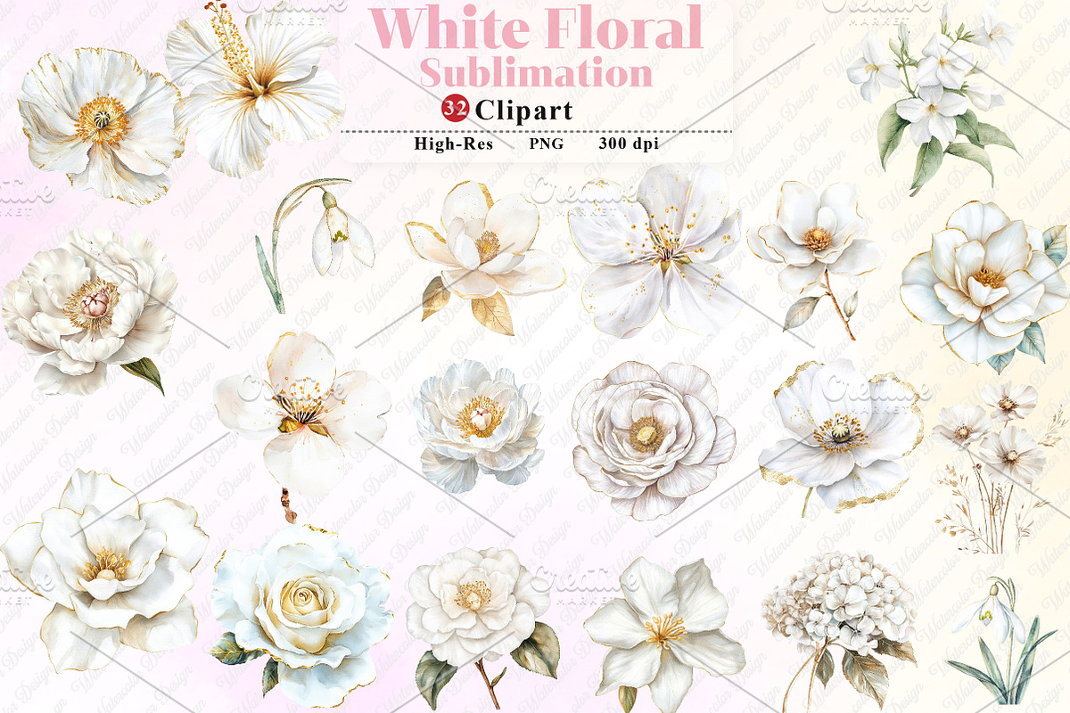 White Floral Clipart, an Illustration by Watercolor design (Photo 1 of 12)
