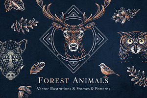 Animal Illustrations Bundle 1