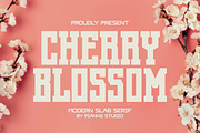 Cherry Blossom - Modern Slab Serif, a Slab Serif Font by Pian45 Studio (Thumbnail 1 of 8)
