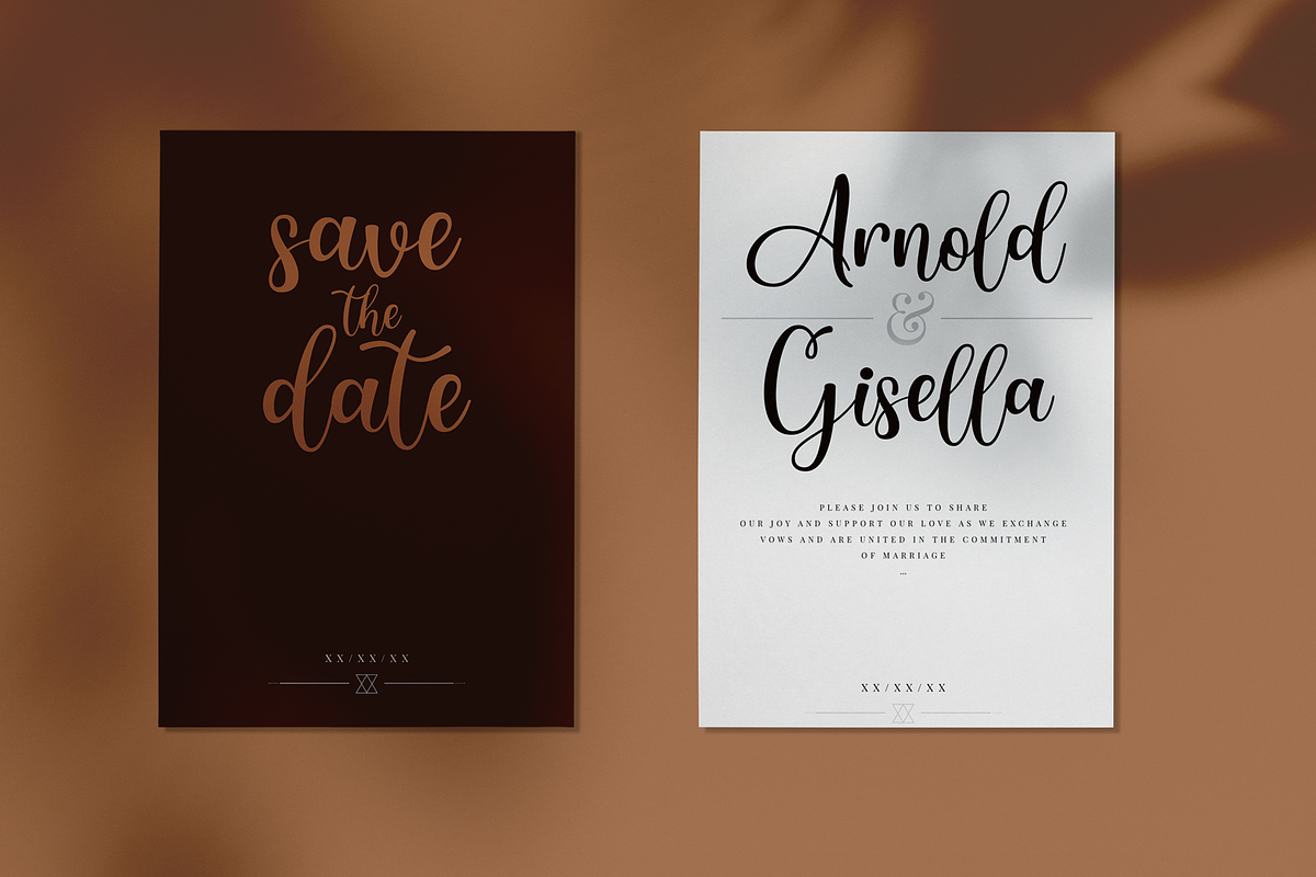 Shepila - Modern & Beautiful Script preview 7