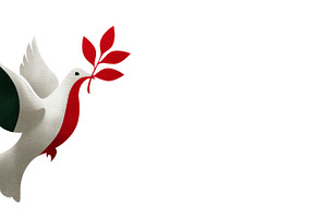 Dove with green and red wings holding red olive branch in beak s, an Animal Photo by José Manuel Gelpi