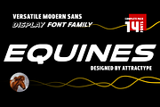 Equines Display Bold Family Complete, a Sans Serif Font by Attractype (Thumbnail 1 of 9)
