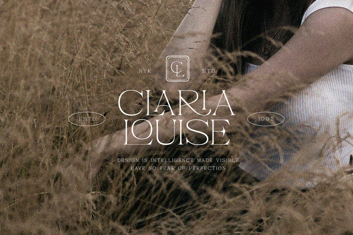 Pandora Emotion - Stylish Serif Fon, a Serif Font by Letterhend Studio (Photo 2 of 10)