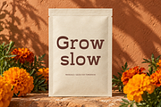Terra Fable Sculpted Slab Serif, a Slab Serif Font by Colorsfav (Thumbnail 9 of 11)