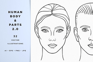 Human Body & Parts Illustrations 2.0, a Person Illustration by Olga Begak Art & Design