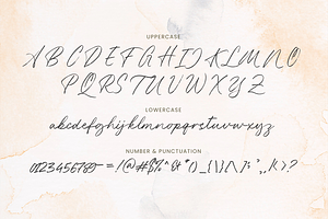 Alesandra Handbrush Script