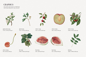 Botanical Garden Fruits And Florals