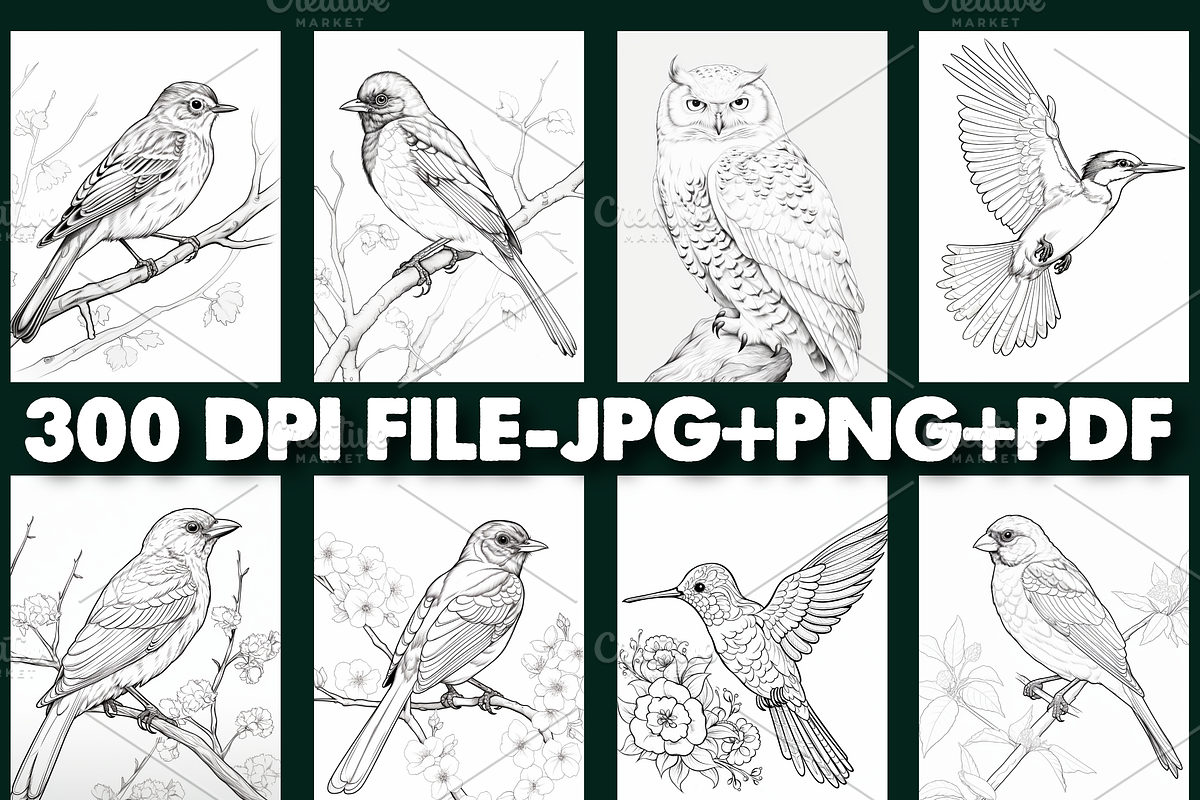 100 Bird Coloring Pages For Adults, an Object Graphic by Design Station (Photo 2 of 5)