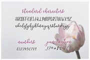 Petunia Script, a Script Font by Nineteenth Studio (Thumbnail 7 of 7)