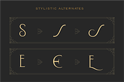WT Bellochero, a Font by Winston Type Co. (Thumbnail 10 of 11)