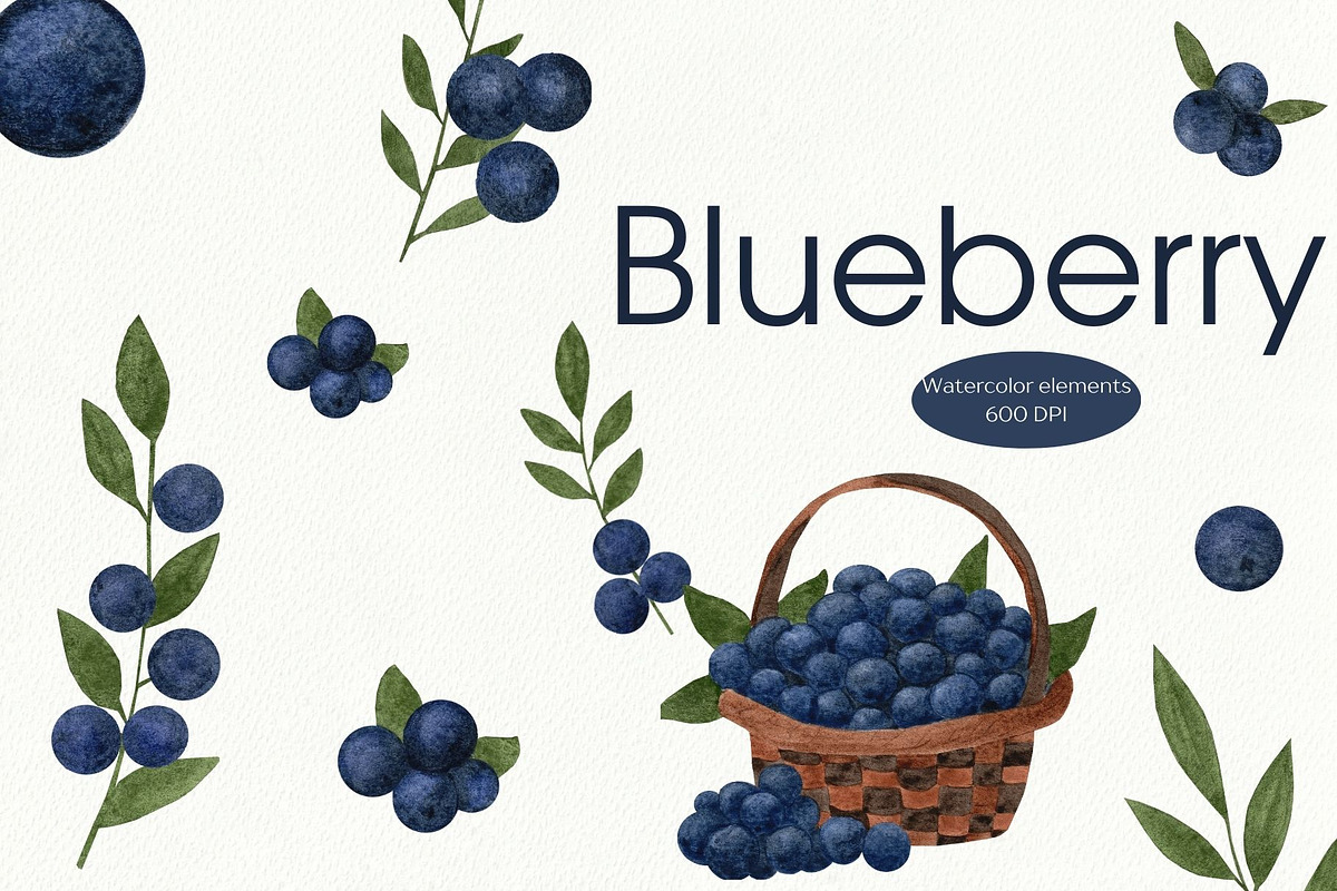 Blueberries watercolor clipart, a Food Illustration by Illustrations by Yuliia (Photo 1 of 4)