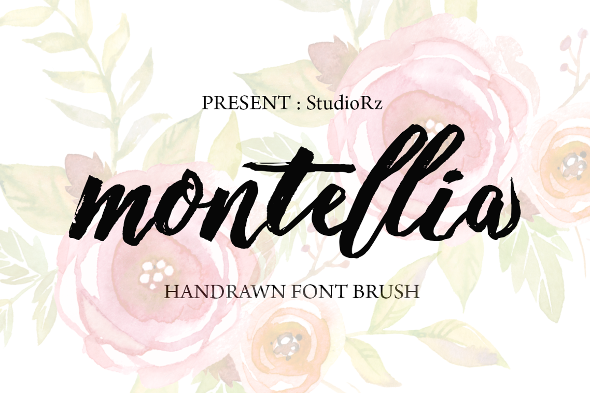 Montellia Brush