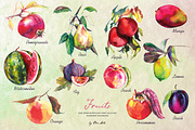 Fruits hand drawn clipart, a Food Illustration by Vero Arts (Thumbnail 2 of 10)