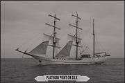 Platinum Palladium Prints LUTs, a Plug-in Add-On by Raztrend (Thumbnail 32 of 32)