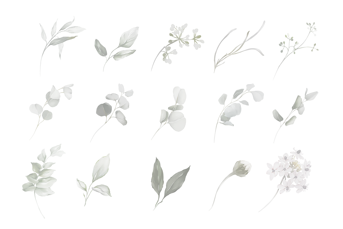 Bronte | Botanical set | 280+ images, an Illustration by Karma (Photo 29 of 39)