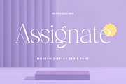 Assignate - Elegant Display Serif, a Script Font by RockboyStd (Thumbnail 1 of 12)