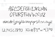 Karrilee - Handwritten Brush Font, a Script Font by KA Designs (Thumbnail 14 of 24)
