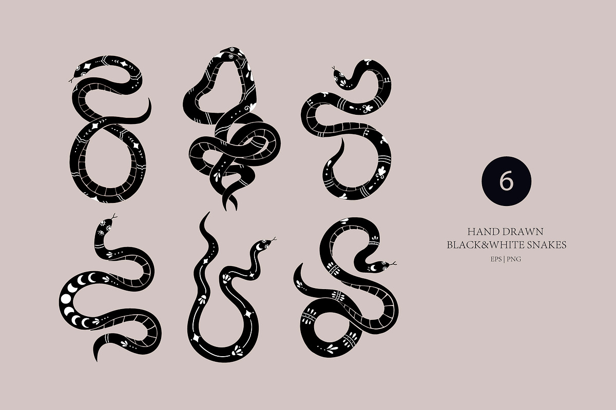 Modern snakes & Floral set., an Object Graphic by Alona Savchuk (Photo 6 of 14)