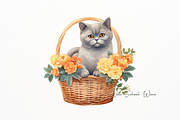 Cute Cats in Flower Basket Clipart, an Animal Illustration by New-School-Wave (Thumbnail 2 of 5)