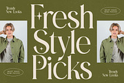 Eternalo Bold Luxury Modern Serif, a Serif Font by timelesstype.co (Thumbnail 7 of 20)