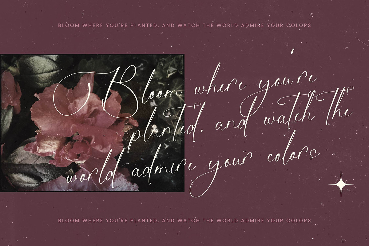 Michelin Samantha Stylish Font, a Script Font by stylishtype.co (Photo 3 of 20)