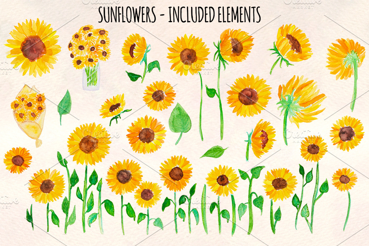Bright Sunflowers 34 Sunny Vectors, a Decorative Illustration by Violet LeBeaux (Photo 2 of 3)