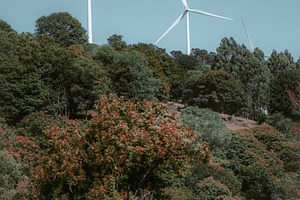 Wind Turbines Over Forest Hills, an Industrial Photo by SkyNext